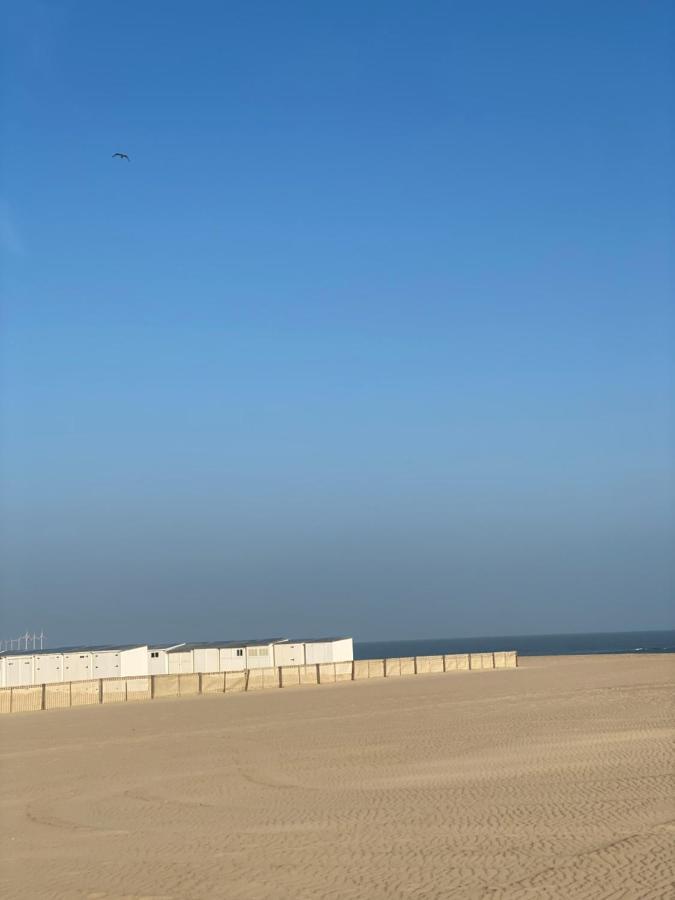 Knokke Summertime المظهر الخارجي الصورة
